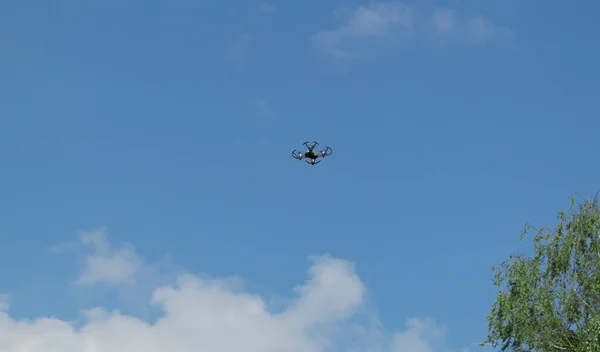 Drone Vlucht Boven Kronen Van Bomen Foto Van Een Vliegende — Stockfoto