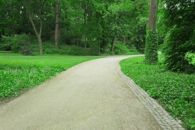 Parkta çim biçme ve yürüyüş yolu. Taş koşu bandı ve yeşil çimen. Parktaki yol taştan yapılmıştır. Şehir parkında taş yontuyorlar.