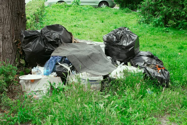 Basura Bolsas Negras Bajo Árbol Ciudad —  Fotos de Stock