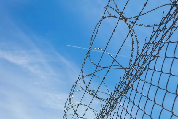 Metal Mesh Barbed Wire — Stock Photo, Image