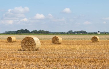Tarlanın arka planında çiftçinin evi var. Çiftçinin evi ve çiftliği