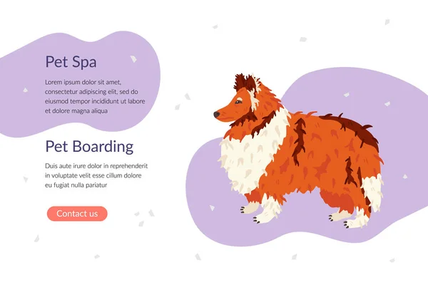 Pet Spa and Pet Boarding landing page template. Collie dog breed. Flat vector illustration. Pet care banner for grooming salon and shops. Animal guide, business card, flyer, social network. — Stock Vector