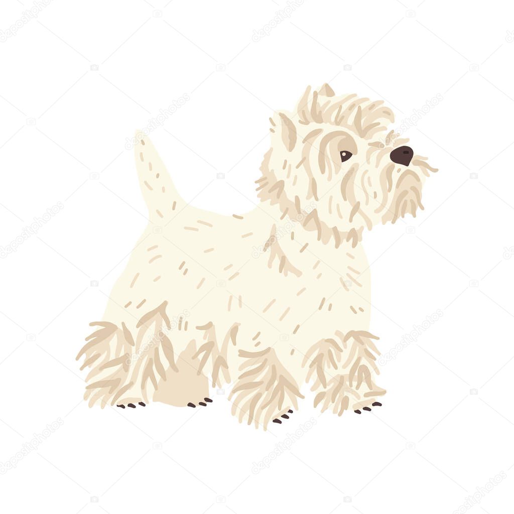 West highland white terrier vector illustration. Cute flat dog breed. Pet care and grooming fans concept. Fun animal for social networks, stickers, exhibition promo poster, banner, online guide.