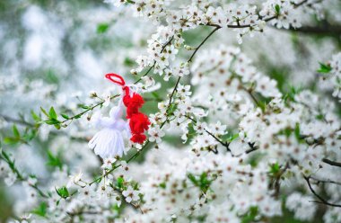 Çiçek açan ağacın dallarında asılı duran kırmızı ve beyaz güzel martisor. Martenitsa bahar kutlaması başlıyor. Romanya ve Bulgaristan geleneği. Beyaz çiçekler