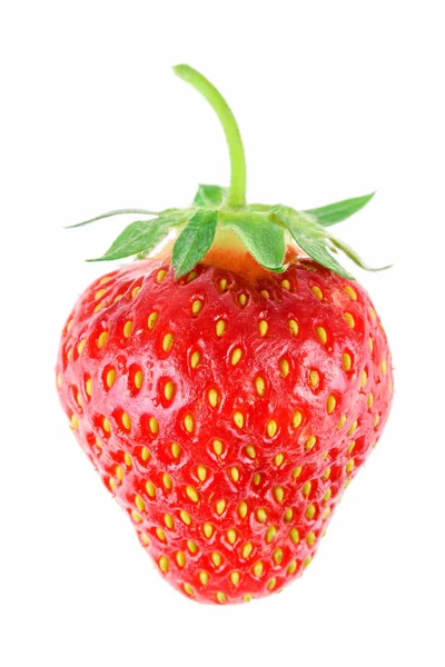 成熟的整个草莓孤立在白色背景特写 — 图库照片