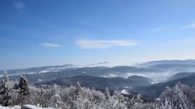 Kış Dağları kar ile pitoresk ve doğal Panoraması, güneşli bir günde Ladin orman kaplı. Polonya (Jaworzyna Krynicka dağın tepesine görünümünden aralığında Karpat Dağları).