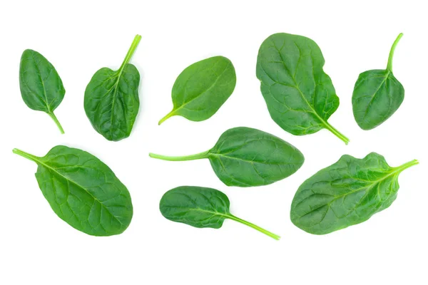 Group Spinach Leaves Isolated White Background Close — Stock Photo, Image