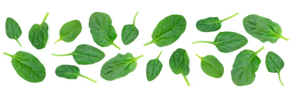 Group Spinach Leaves Isolated White Background Close High Details — Stock Photo, Image