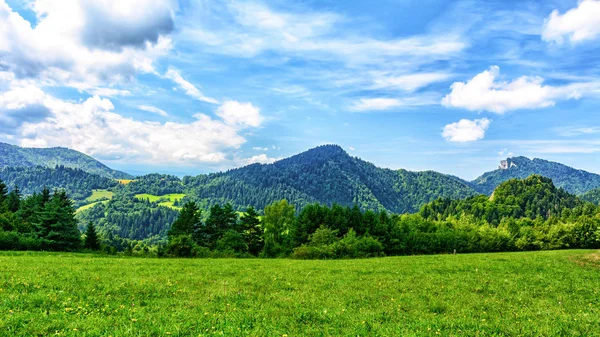 Verano Paisaje Montañoso Idílico Montañas Los Cárpatos Sobre Cielo Azul — Foto de Stock