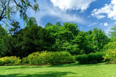 Halka açık bir parkın güzel manzarası
