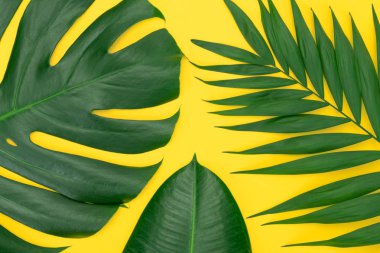 Trendy tropikal yaprakları kompozisyon.