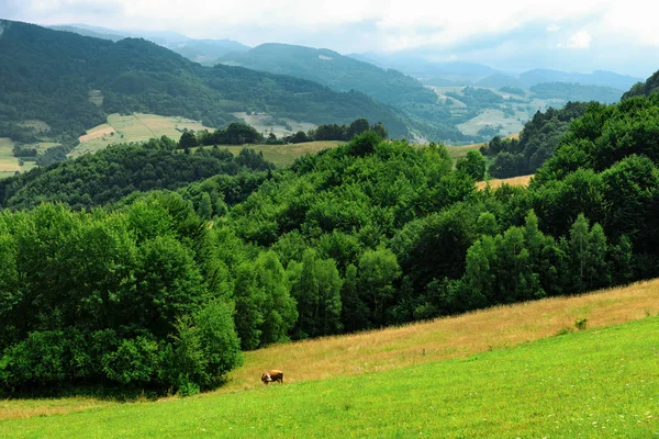 Paisaje agrícola — Foto de Stock