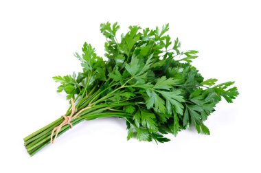 taze organik maydanoz