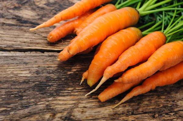 Organik çiftlikten havuç