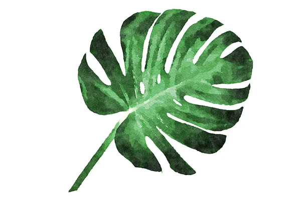 Trendy tropical leaf decoration — Stock Photo, Image
