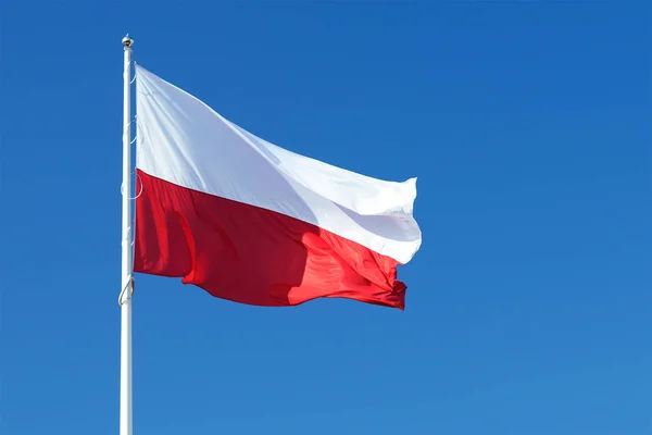 A Lengyelország lobogója hullámzó — Stock Fotó