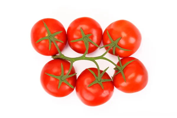 Tomates fraîches sur branche — Photo
