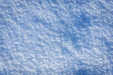 Mavi tonda tam kare taze kar dokusu