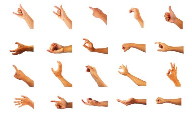 el hareketleriyle ilgili koleksiyon