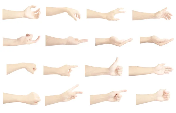 Left Hand Multiple Collection Asian Gestures White Skin Isolated White — Stock Photo, Image