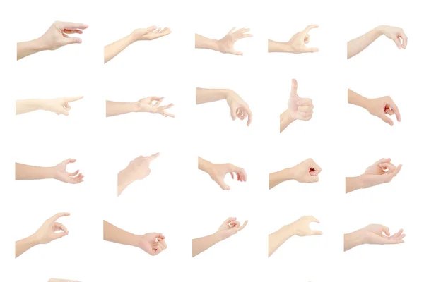 left hand multiple collection of asian in gestures with white skin isolated on white background
