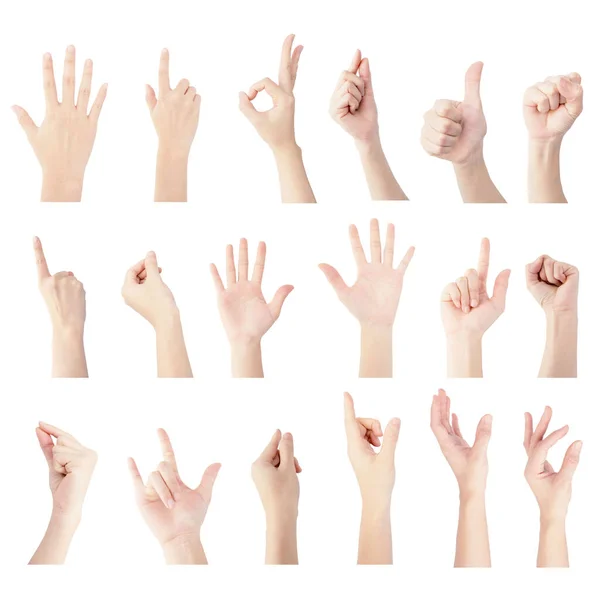 Multipel Samling Hand Kvinna Vertikal Gest Isolerad Vit Bakgrund — Stockfoto