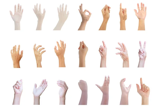 Mão Múltipla Coleção Com Show Hand Gestos Homem Mulher Menina — Fotografia de Stock