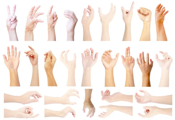 Show Hand Της Κατακόρυφης Και Οριζόντιας Πολλαπλά Χέρια Συλλογής Που — Φωτογραφία Αρχείου