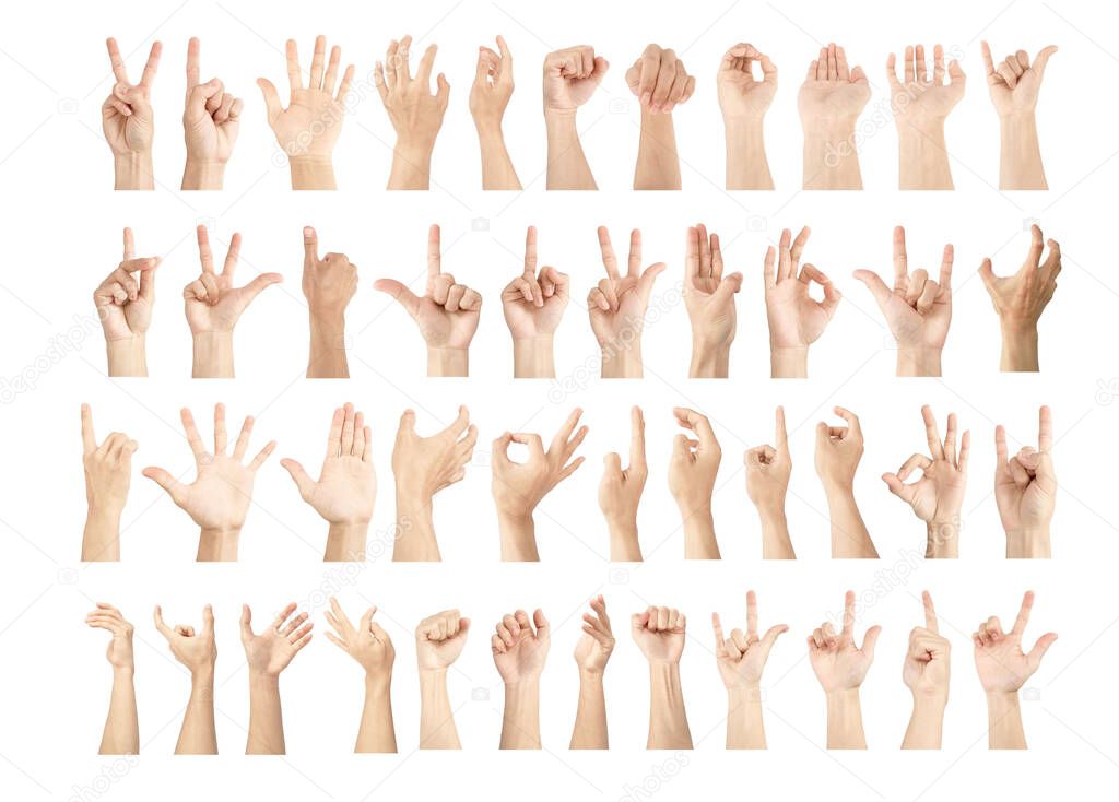 hand collection in gestures with white skin isolated on white background