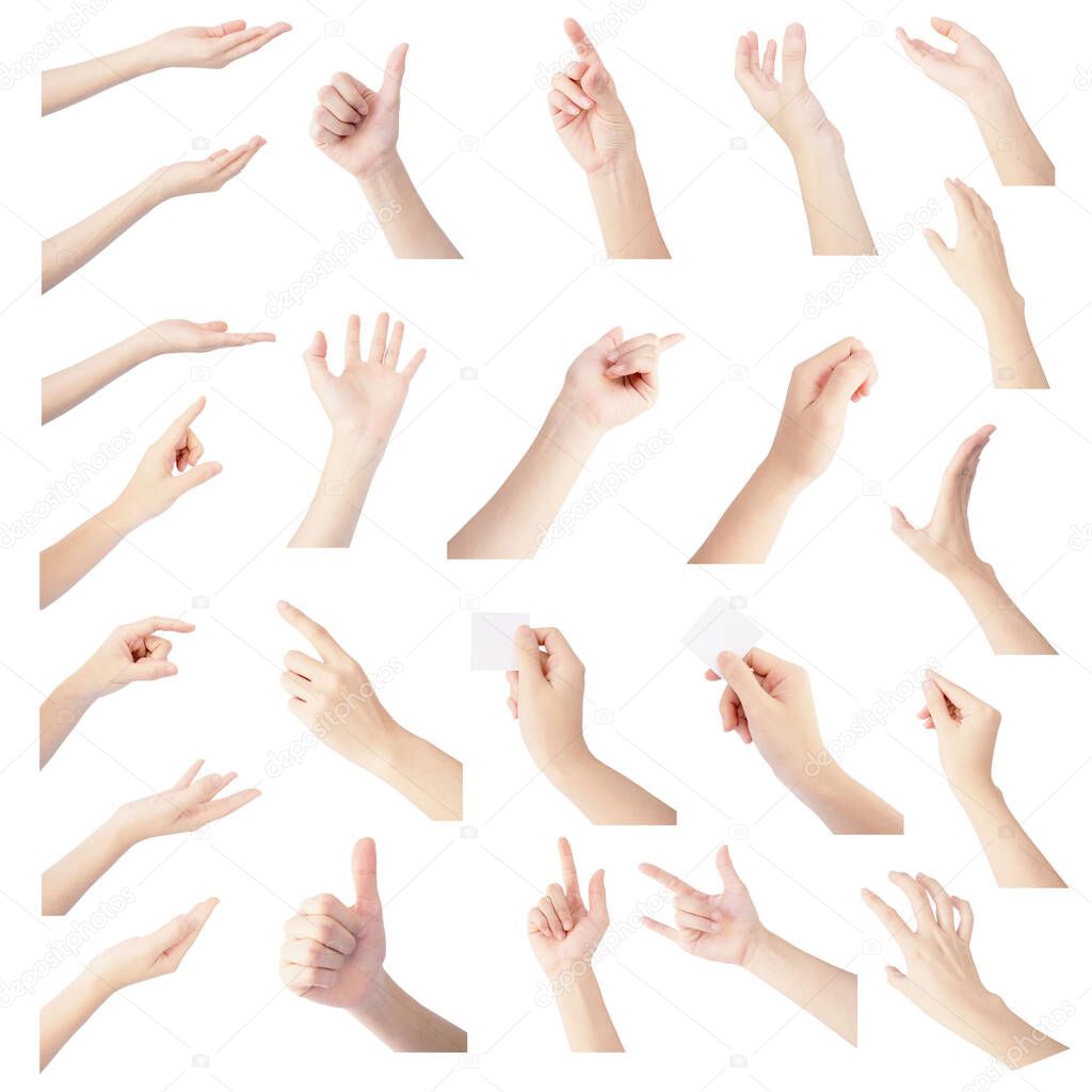 multiple collection hand of woman in gesture isolated on white background