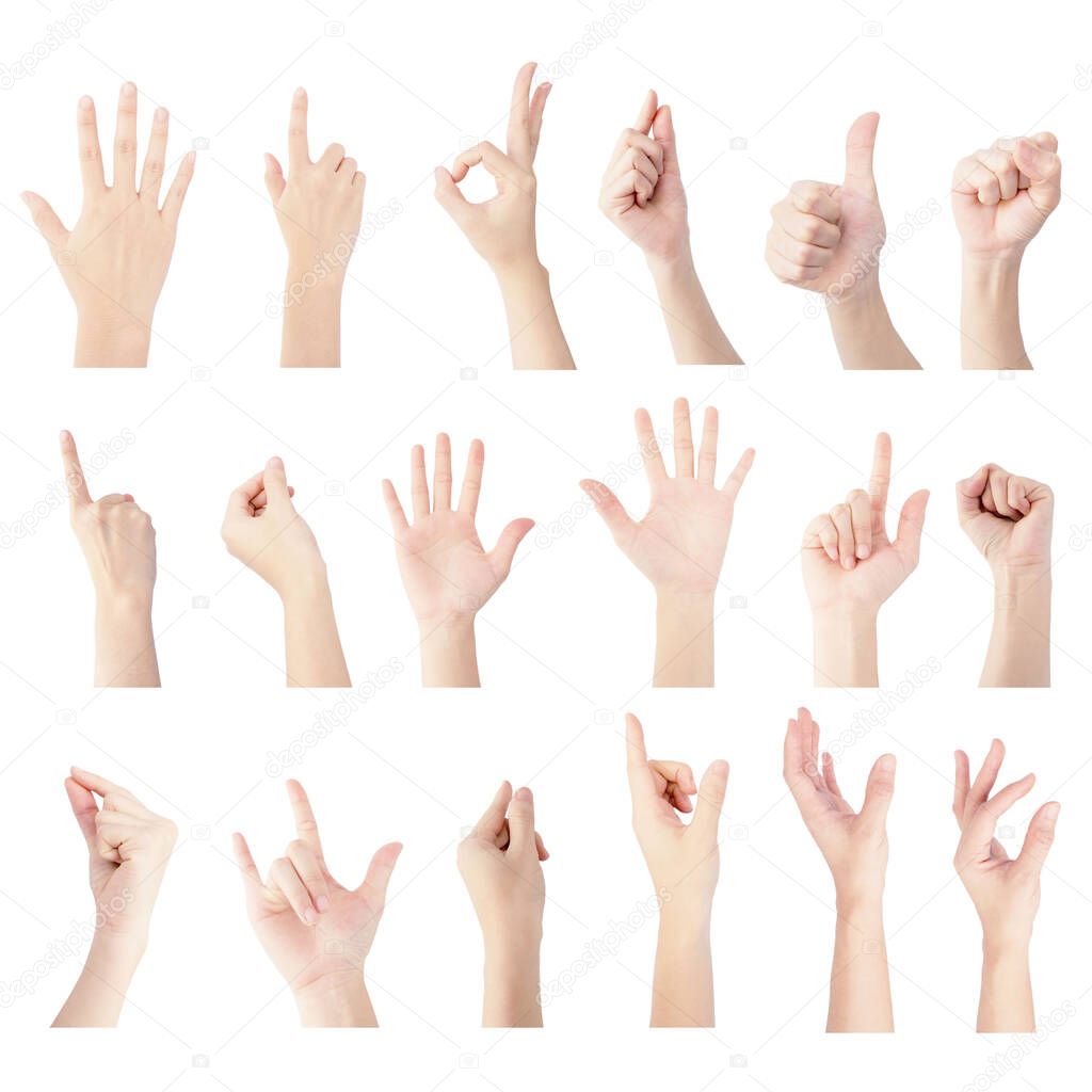 multiple collection hand of woman in vertical gesture isolated on white background