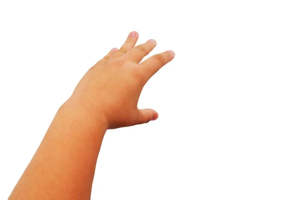 Hand Des Dicken Mädchens Gesten Auf Weißem Hintergrund — Stockfoto