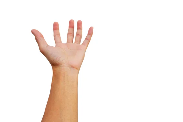 Hand Reach Get Grab Something White Background — Stock Photo, Image