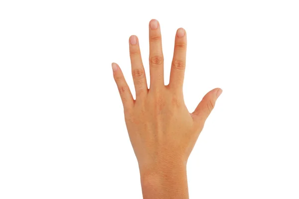 Handrücken Der Frau Zeigt Handfläche Vereinzelt Auf Weißem Hintergrund — Stockfoto