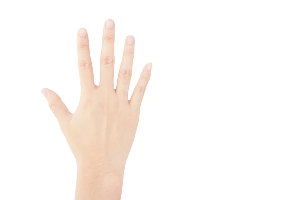 Handrücken Der Frau Zeigt Handfläche Vereinzelt Auf Weißem Hintergrund — Stockfoto