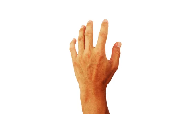 Mostrar Volta Mão Homem Gesto Contato Isolado Fundo Branco — Fotografia de Stock
