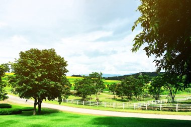 Bahçe parkının gün batımında görünen manzarası.
