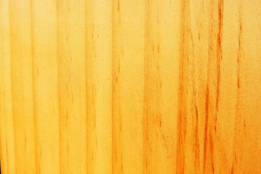 Yeni Zelanda Çam dokusu arkaplanı