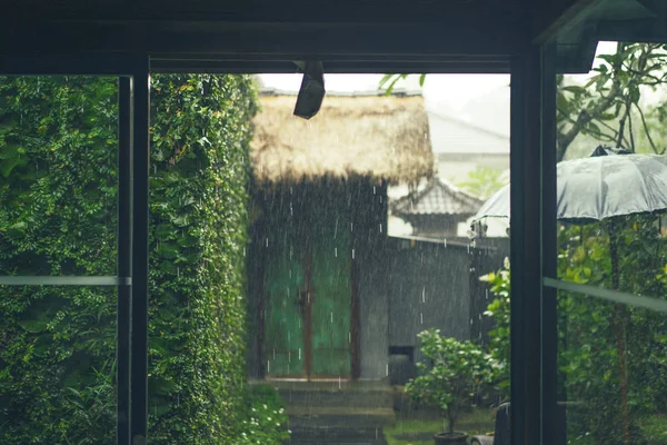 Sade Ulkopuolella Ikkunat Huvilan Tropiikissa — kuvapankkivalokuva