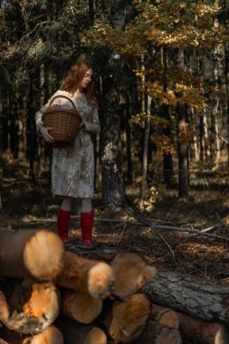 Uzun kızıl saçlı, keten elbiseli genç bir kadın ormanda sepetin içinde mantar topluyor.