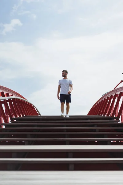 man on the bridge in amsterdam, python bridge