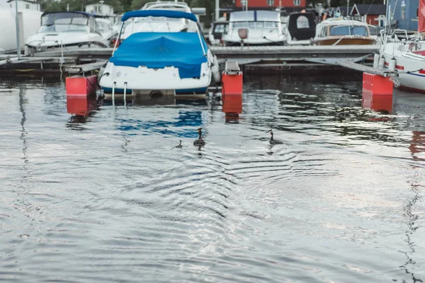 Yachthafen Stockholm Schweden — Stockfoto