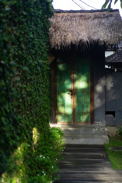 greenery in the yard, front door.