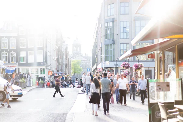 Dam Meydanı manzarası. Amsterdam.