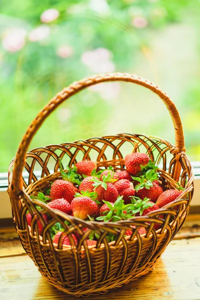 Vue Rapprochée Des Fraises Fraîches Dans Panier — Photo