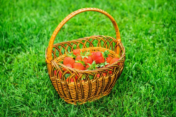 Vergrote Weergave Van Verse Aardbeien Een Mandje — Stockfoto