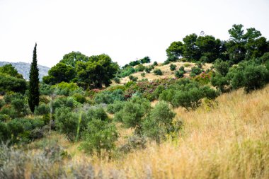 Endülüs bozkır yakından görmek. arka plan