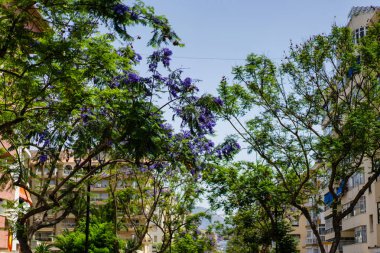 Güney İspanya'nın küçük bir kasabasında rahat sokaklarında. Andalusia.