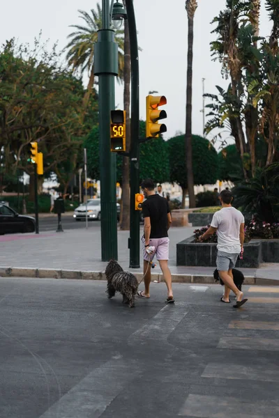 Malaga Şehir Gezinti Görünümünü — Stok fotoğraf