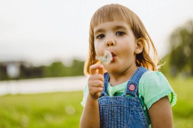 karahindiba tarlasında küçük kız, gün batımında, duygusal mutlu chi